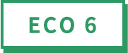 ECO 6