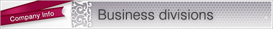 Business divisions