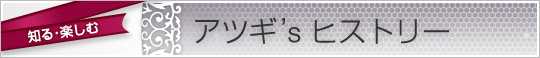 アツギ's ヒストリー