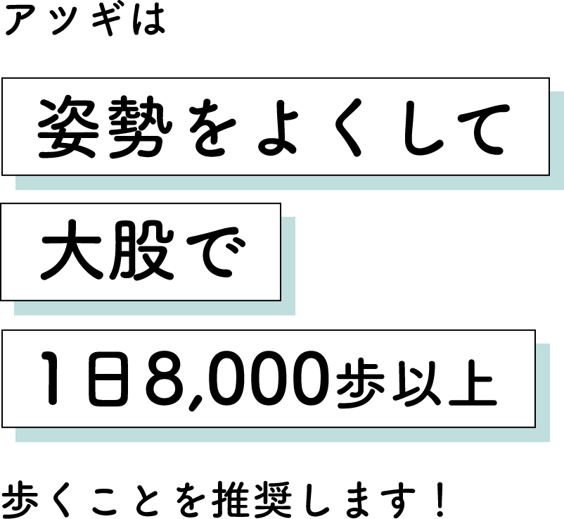 アツギは姿勢をよくして大股で1日8,000歩以上歩くことを推奨します！