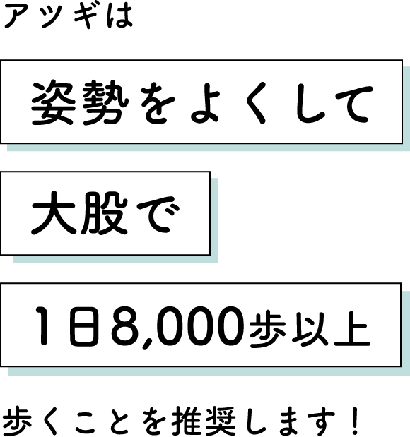 アツギは姿勢をよくして大股で1日8,000歩以上歩くことを推奨します！