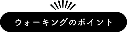 ウォーキングのポイント