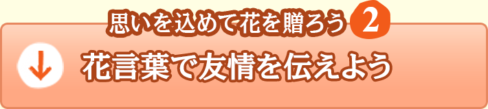 花言葉で大切な人に思いを伝えよう の巻 A Journal 美脚情報満載 スタイルアップカフェ