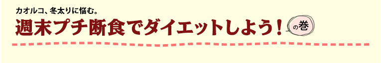 JIRA~ɔYށB Tv`fHŃ_CGbg悤I̊